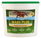 Mare Plus Gestation and Lactation Supplement - Jeffers - Horse Supplies > Horse Supplies