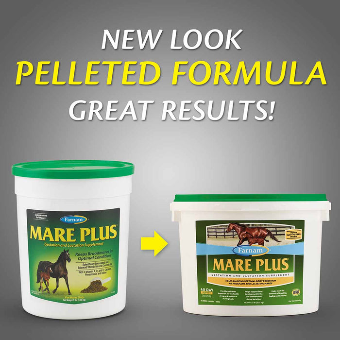 Mare Plus Gestation and Lactation Supplement - Jeffers - Horse Supplies > Horse Supplies