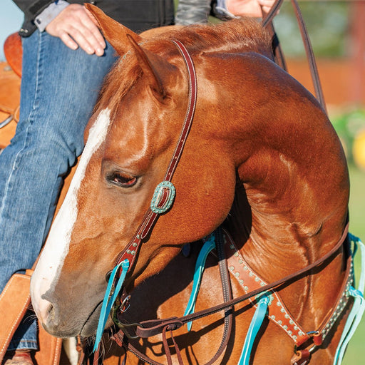 Martin Antique Turquoise Sliding Ear Headstall - Jeffers - Horse Supplies > Horse Tack > Bridles & Headstalls