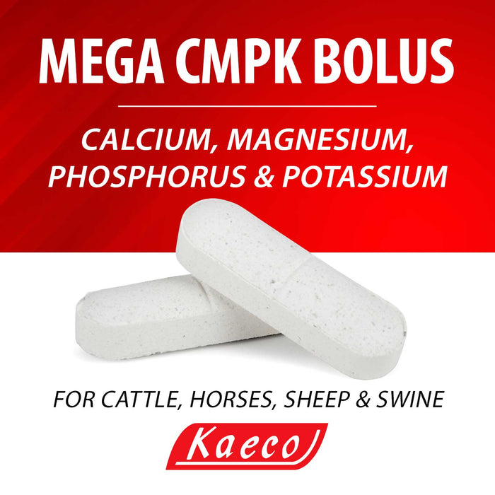 Mega CMPK Bolus, 50 ct - Jeffers - Animal Health & Wellness > Vitamins & Supplements