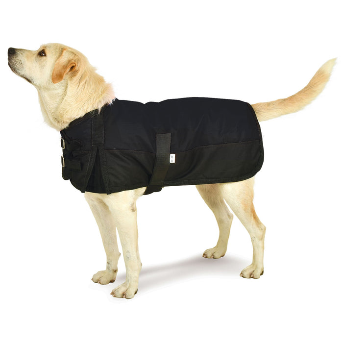 Premium Winter Dog Coat by Jeffers - Black/Black 31-34 in 