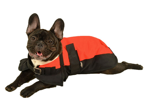 Premium Winter Dog Coat by Jeffers - Orange/Black 14-17 in 