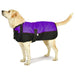 Premium Winter Dog Coat by Jeffers - Purple/Black 26-30 in 