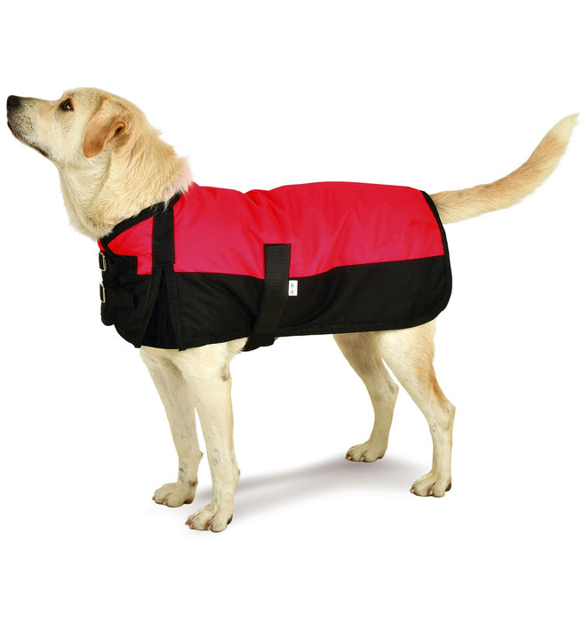 Premium Winter Dog Coat by Jeffers - Red/Black 14-17 in 