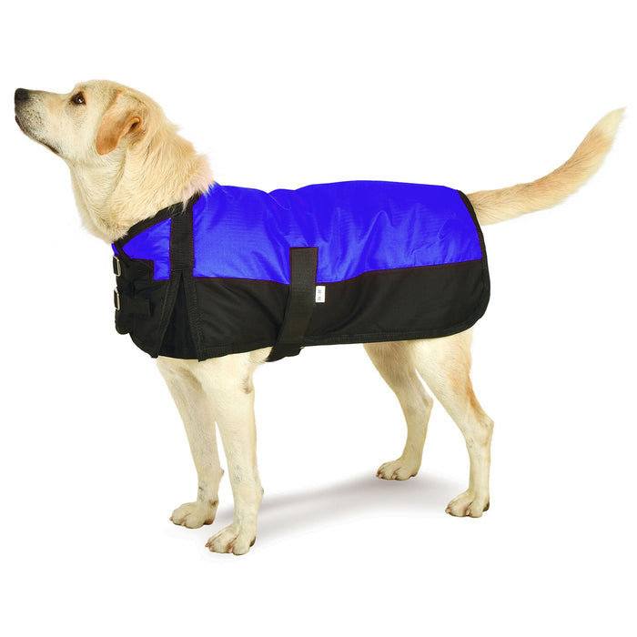 Premium Winter Dog Coat by Jeffers - Royal Blue/Black 26-30 in 