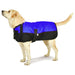 Premium Winter Dog Coat by Jeffers - Royal Blue/Black 26-30 in 