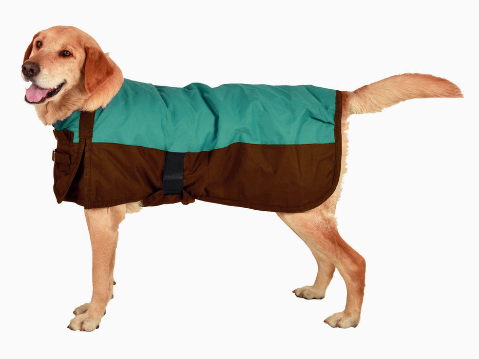 Premium Winter Dog Coat by Jeffers - Teal/Brown 18-21 in 