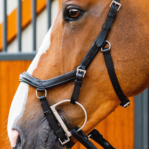 Micklem 2.0 Deluxe Competition Bridle, Black - Jeffers - Horse Supplies > Horse Tack > Bridles & Headstalls