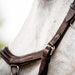 Micklem 2.0 Deluxe Competition Bridle, Havana - Jeffers - Horse Supplies > Horse Tack > Bridles & Headstalls