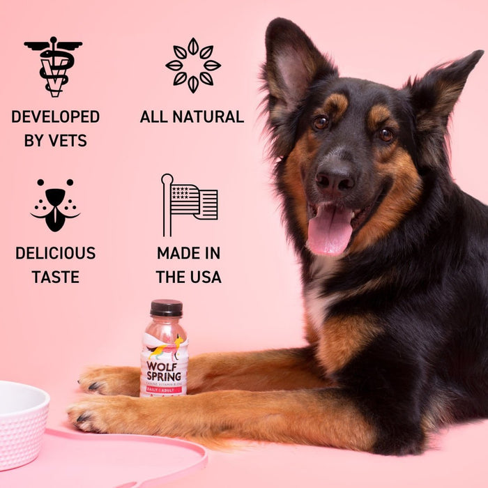 Multivitamin Food Topper for Dogs - Jeffers - Animal Health & Wellness > Vitamins & Supplements