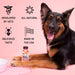 Multivitamin Food Topper for Dogs - Jeffers - Animal Health & Wellness > Vitamins & Supplements