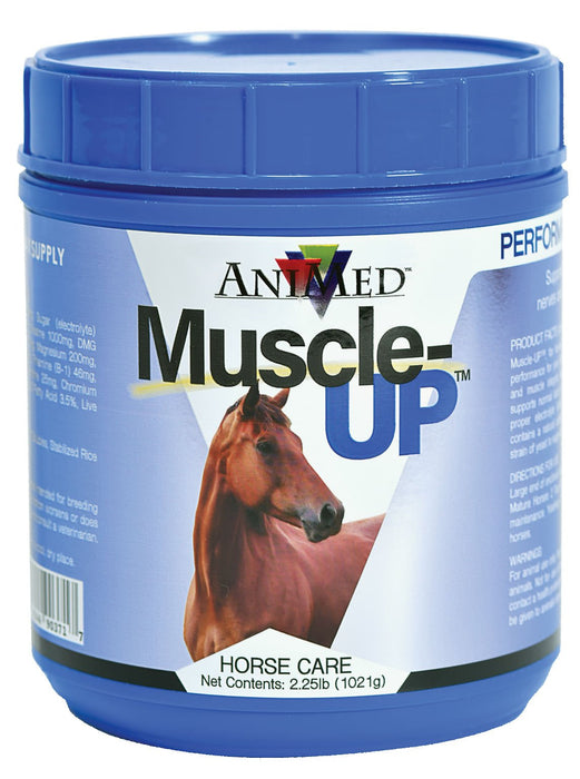 Muscle - UP Powder for Horses - Jeffers - Animal Health & Wellness > Vitamins & Supplements