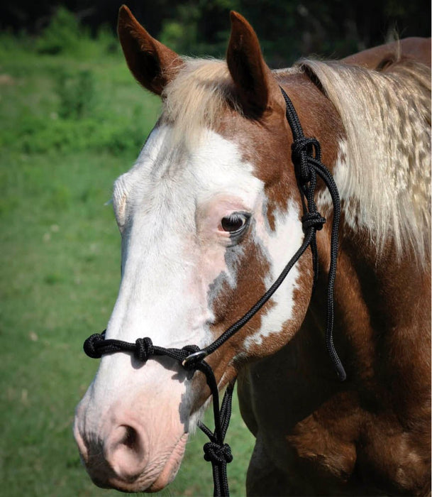 Mustang 4 - knot Side Pull Rope Halter - Jeffers - Horse Supplies > Horse Tack > Horse Halters