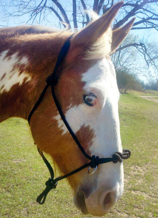 Mustang 4 - knot Side Pull Rope Halter - Jeffers - Horse Supplies > Horse Tack > Horse Halters