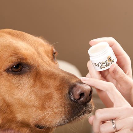 My Dog Nose It Doggy Sunscreen - Jeffers - Animal Health & Wellness > Skin & Coat Care