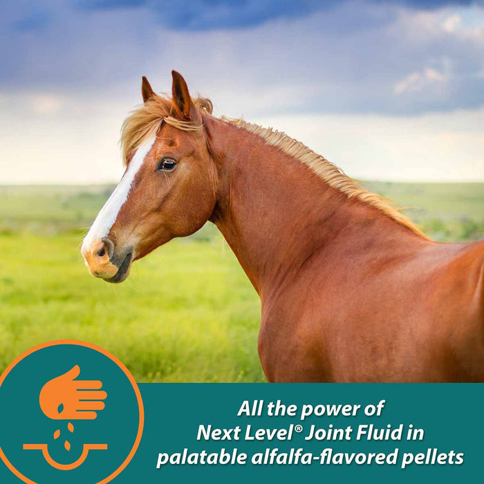 Next Level Joint Pellets, 1.87 lbs - Jeffers - Animal Health & Wellness > Joint Health