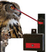 Nite Guard Solar Flash Animal Repellent Device - Jeffers - Animal & Pet Supplies > Pet Containment Systems