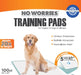 No Worries 12 - Hour Dog Training Pads, 100 ct, 22' x 22' - Jeffers - Animal & Pet Supplies > Pet Training Aids