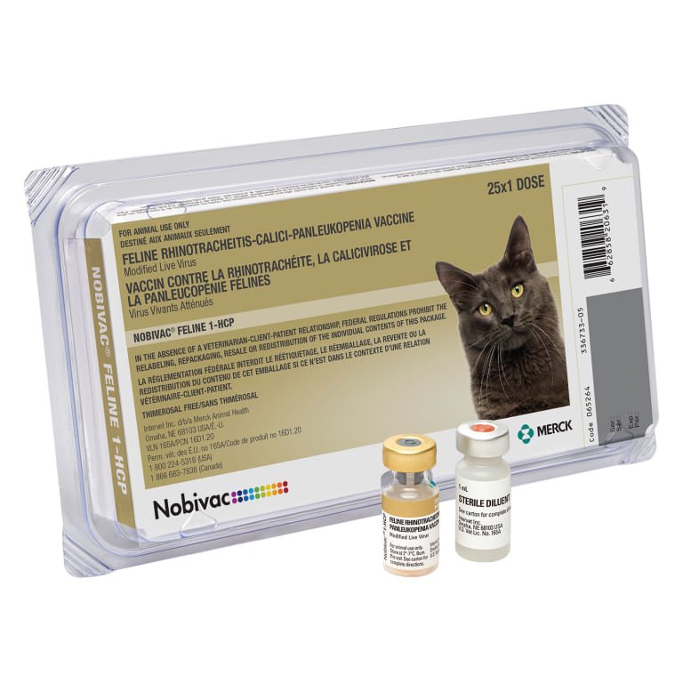 Nobivac® Feline 1 - HCP - Jeffers - Animal Health & Wellness > Vaccines