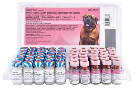 Nobivac Intra - Trac KC - Jeffers - Animal Health & Wellness > Vaccines