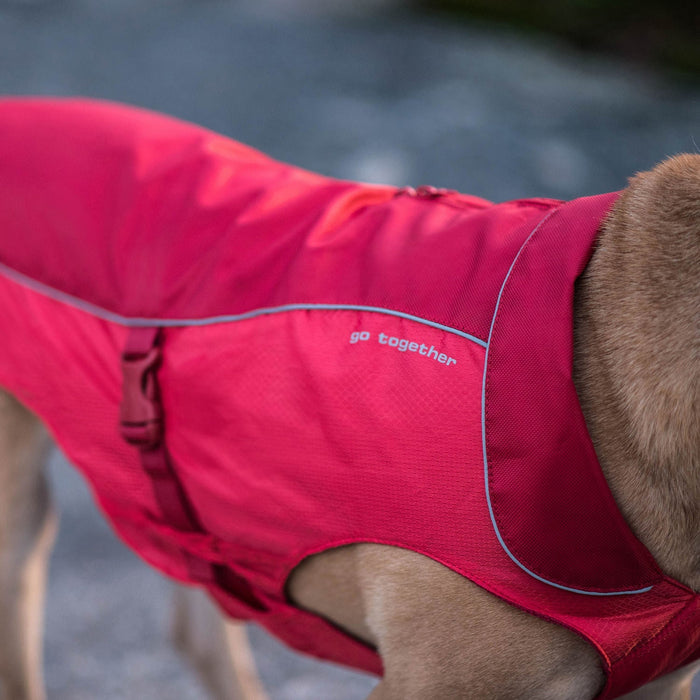 North Country Coat - Jeffers - Dog Supplies > Dog Apparel