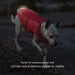 North Country Coat - Jeffers - Dog Supplies > Dog Apparel