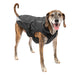 North Country Coat - Jeffers - Dog Supplies > Dog Apparel