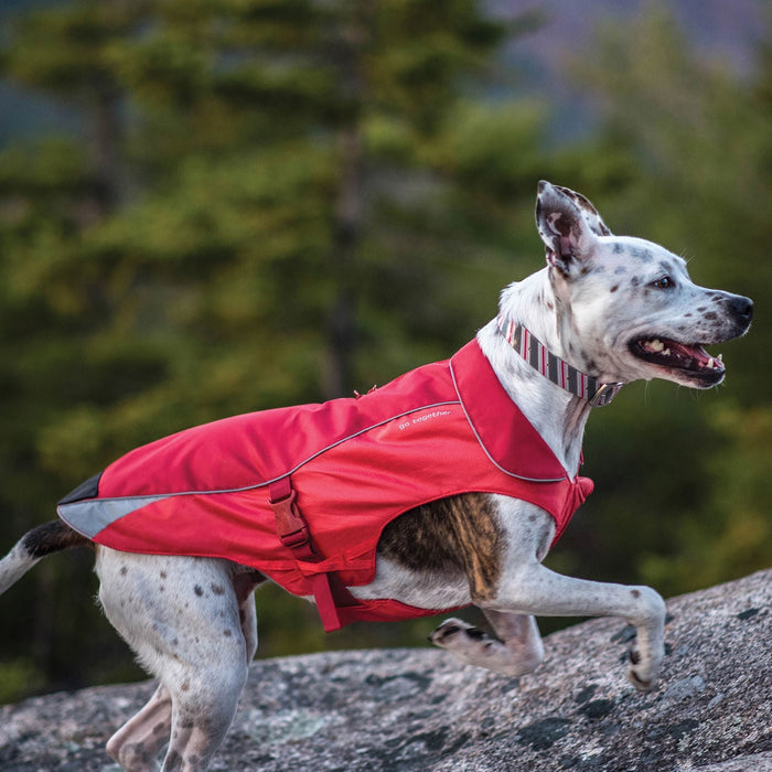 North Country Coat - Jeffers - Dog Supplies > Dog Apparel