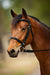 Nunn Finer Event Bridle - Jeffers - Horse Supplies > Horse Tack > Bridles & Headstalls