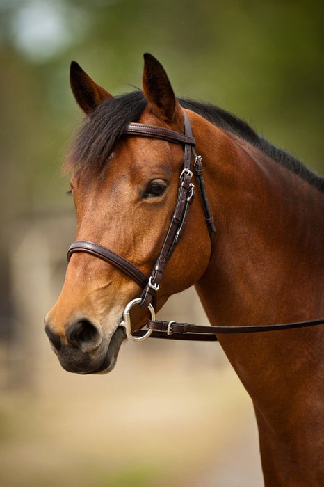 Nunn Finer Event Bridle - Jeffers - Horse Supplies > Horse Tack > Bridles & Headstalls