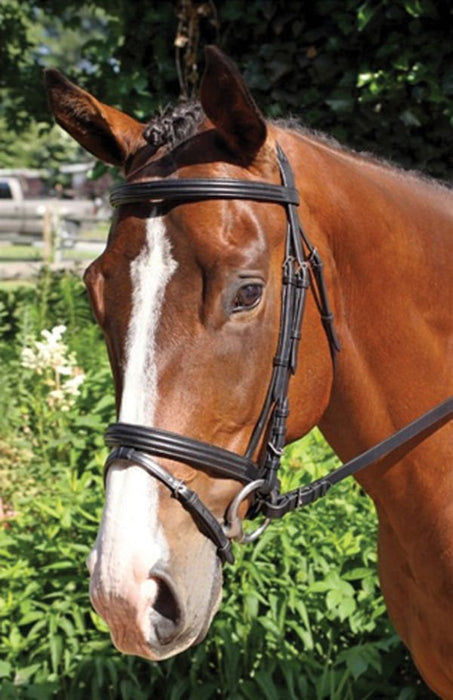 Nunn Finer 'Gifted' Dressage Bridle, Black - Jeffers - Horse Supplies > Horse Tack > Bridles & Headstalls