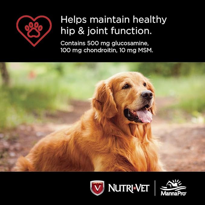 Nutri - Vet Hip & Joint Regular Strength Chewables for Dogs - Jeffers - Animal Health & Wellness > Vitamins & Supplements