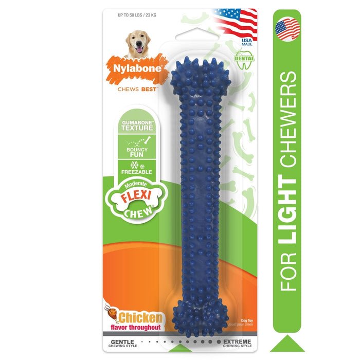 Nylabone Dental Chew Bone