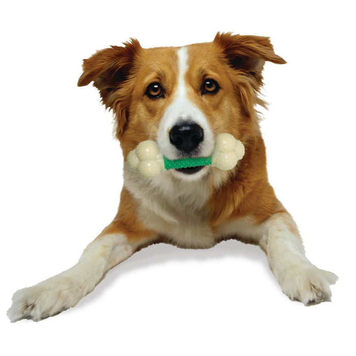 Nylabone Double Action Chew - Jeffers - Dog Supplies > Dog Toys