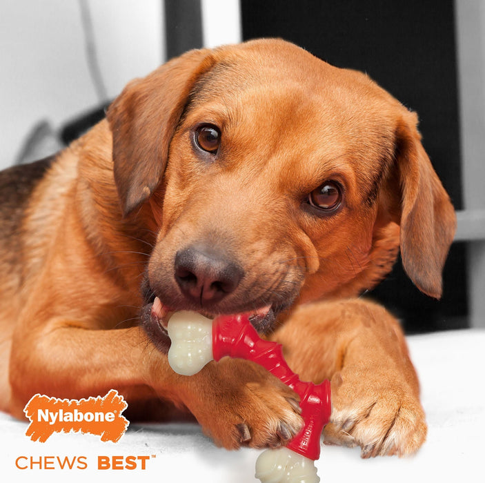 Nylabone Dura Chew Double Bone - Jeffers - Dog Supplies > Dog Toys