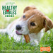 Nylabone Healthy Edibles, Regular (4.5'), 3 pack - Jeffers - Dog Supplies > Dog Treats > Chews