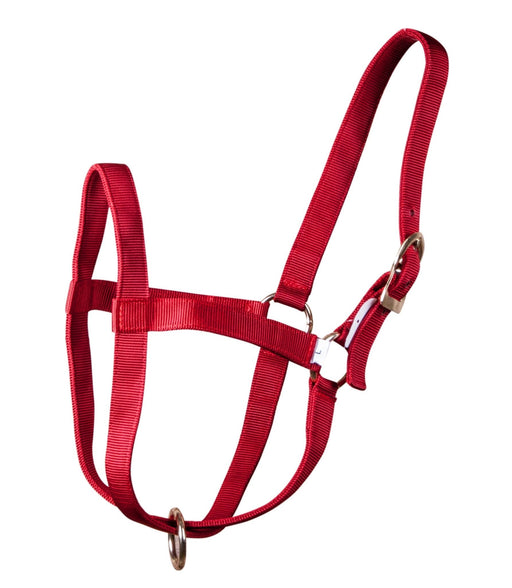 Nylon Calf Halter, (250 - 450 lb) - Jeffers - Cattle Supplies > Cattle Supplies