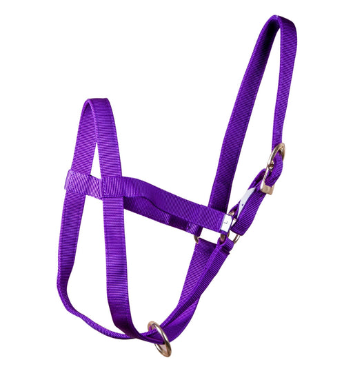 Nylon Calf Halter, (250 - 450 lb) - Jeffers - Cattle Supplies > Cattle Supplies