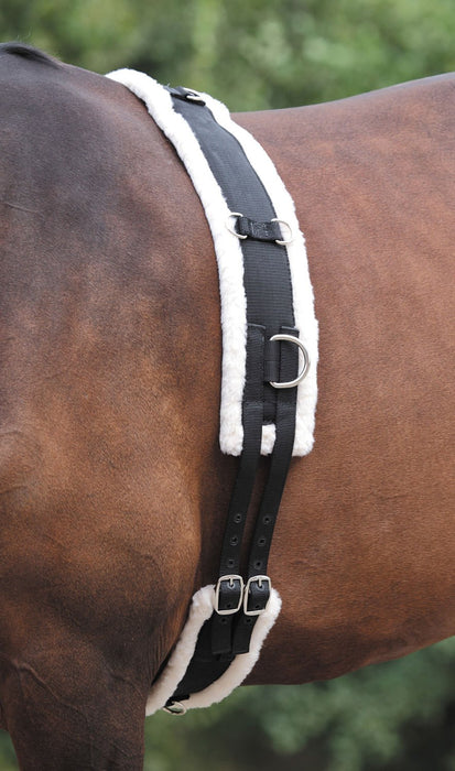 Nylon Lunging Surcingle W/ Fleece Padding - Jeffers - Horse Supplies > Horse Tack