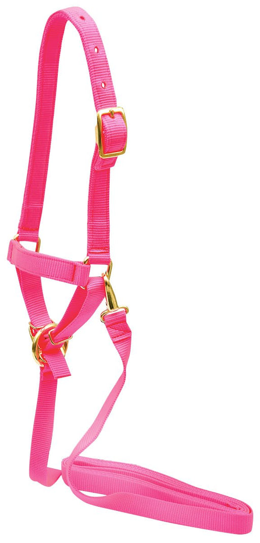 Nylon Sheep Halter, 3/4' - Jeffers - Sheep Supplies > Sheep Supplies