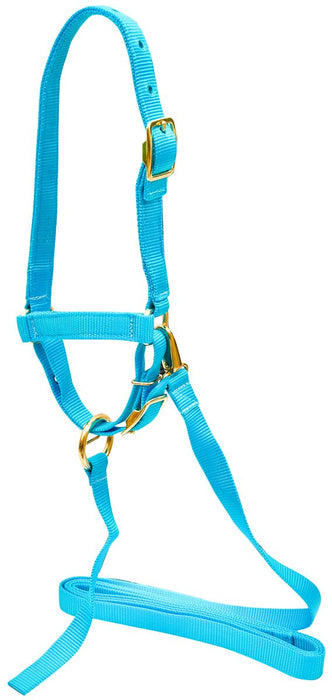 Nylon Sheep Halter, 3/4' - Jeffers - Sheep Supplies > Sheep Supplies