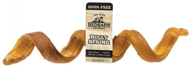 Odor - Free Bully Springs, 6' - Jeffers - Dog Supplies > Dog Treats > Bully Sticks