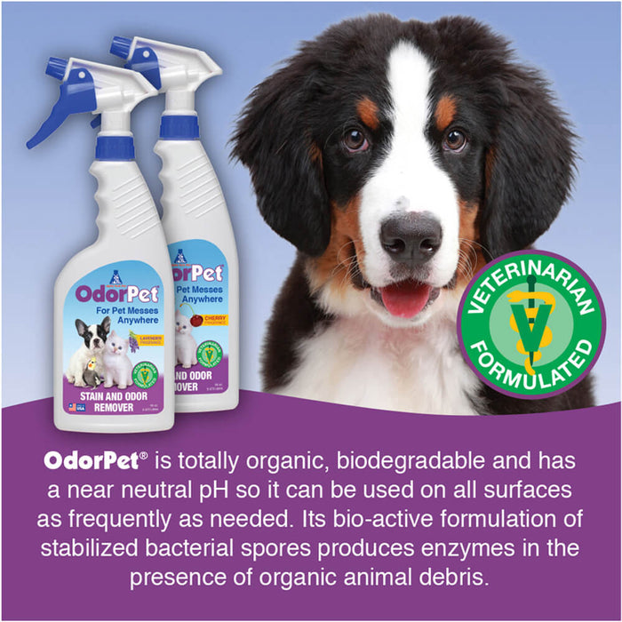 OdorPet Carpet and Floor Stain Remover with Sprayer, 16 oz - Jeffers - Animal & Pet Supplies > Pet Odor & Stain Removers