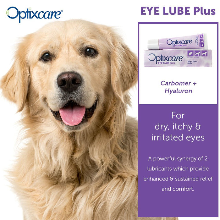 Optixcare Eye Lube Plus, 20gm - Jeffers - Animal Health & Wellness > Eye Care