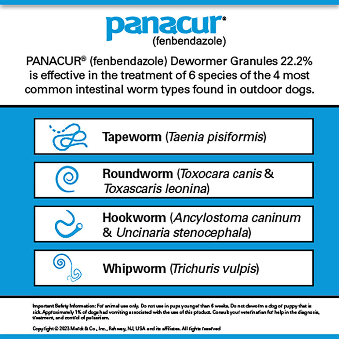 Panacur C Canine Dewormer (Fenbendazole Granules) - Jeffers - Animal Health & Wellness > Medicine