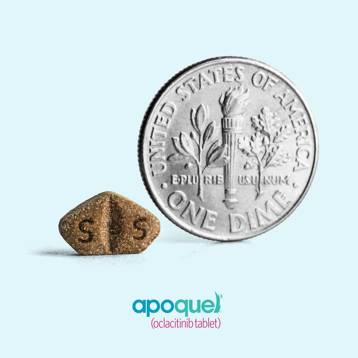 Apoquel Chewable for Dogs - 30ct 3.6mg 