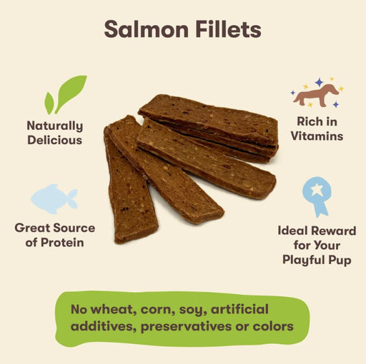 Pet n Shape Salmon Fillets, 16oz - Jeffers - Dog Supplies > Dog Treats > Chews