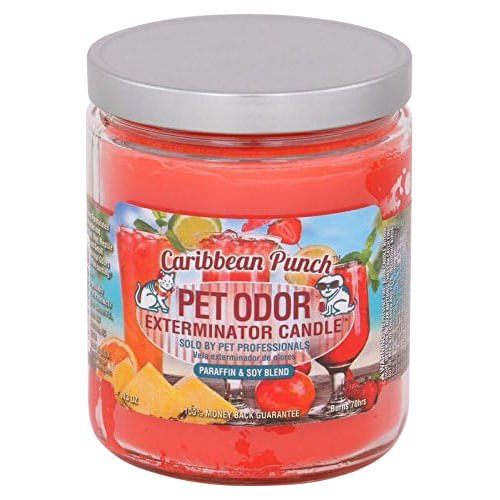 Pet Odor Exterminator Candle, Caribbean Punch, 13 oz - Jeffers - Home Goods & Gifts > Home Decor and Candles for Home Improvement