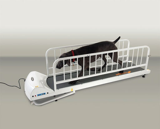 PetRun Large Breed Treadmill (PR725) - Jeffers - Dog Supplies > Dog Supplies