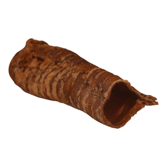 Pet's Choice Beef Trachea Dog Chews, 6' - Jeffers - Dog Supplies > Dog Treats > Chews